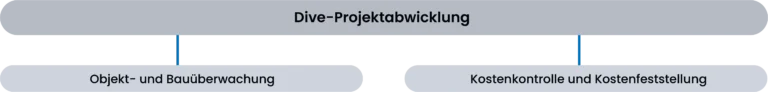 Dive_Projektabwicklung Struktur